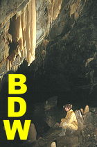 Info about Bois de Waerimont, a cave managed by us