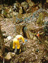 De Fosse Crahay (B1)