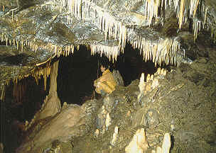 The mega-discovery of Bois de Waerimont