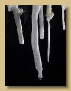 IMG_8801_crop